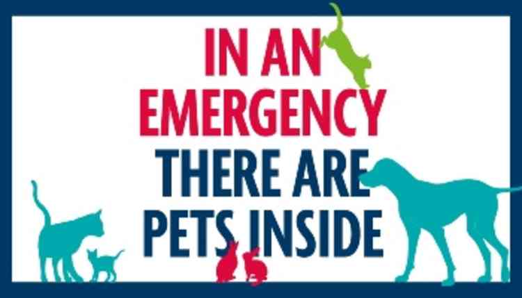 Pet owners can put up this poster to help in an emergency