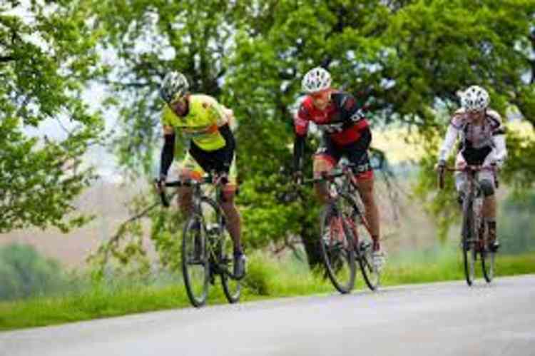 Cyclists on the peninsula