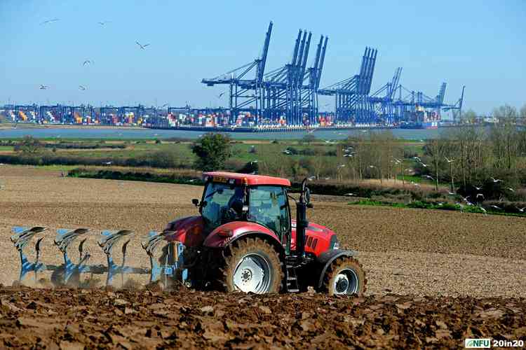 Andrew Packard ploughing (picture credit Warren Page)