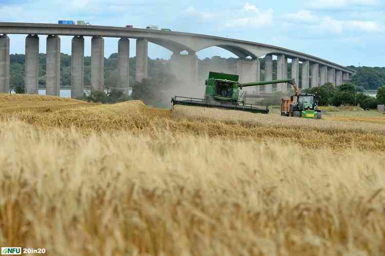 Combine harvesting in Freston (picture credit Warren Page)