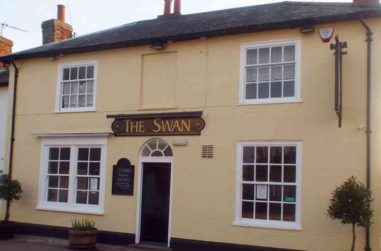 Holbrook Swan