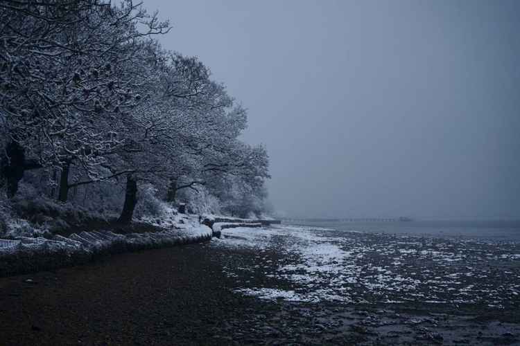 River Stour foreshore (Picture credit - Jack Ford)