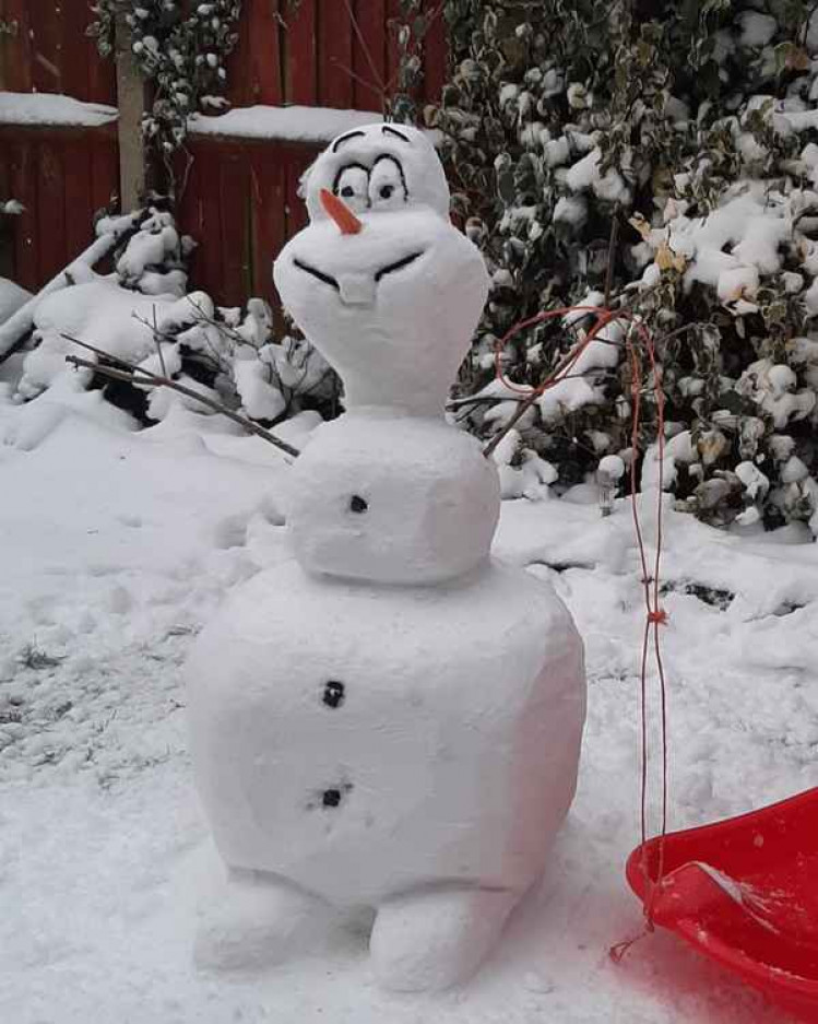 Snowmen like this make us smile (Picture - Melissa Marks)