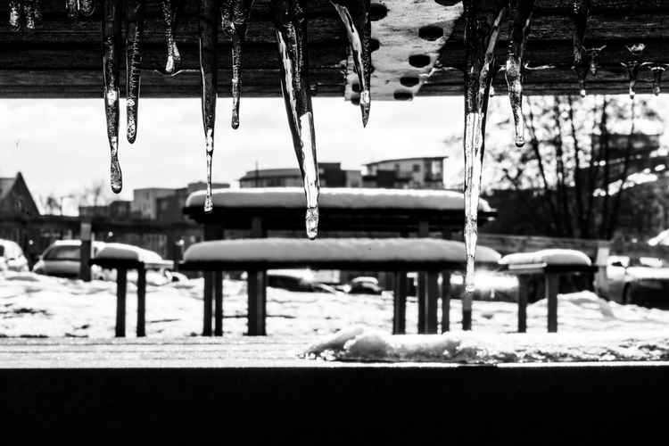 Icicles on bench (Picture by Jack Ford)