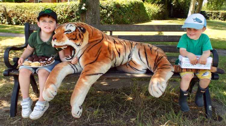 Sons Jack and Henry raising money for Colchester Zoo