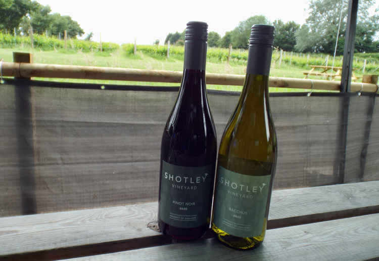 Pinot Noir and Bacchus from Shotley Vineyard