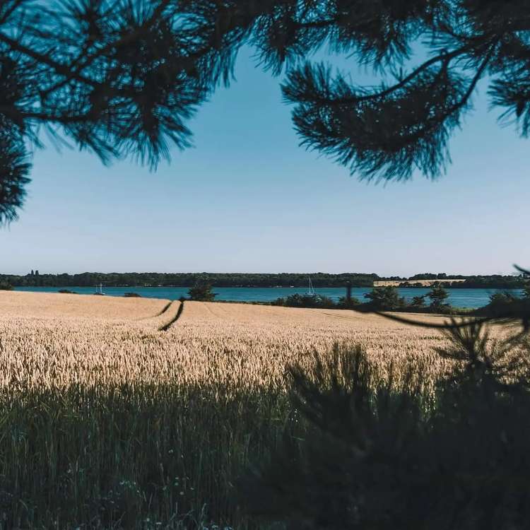 Stunning views over fields and river