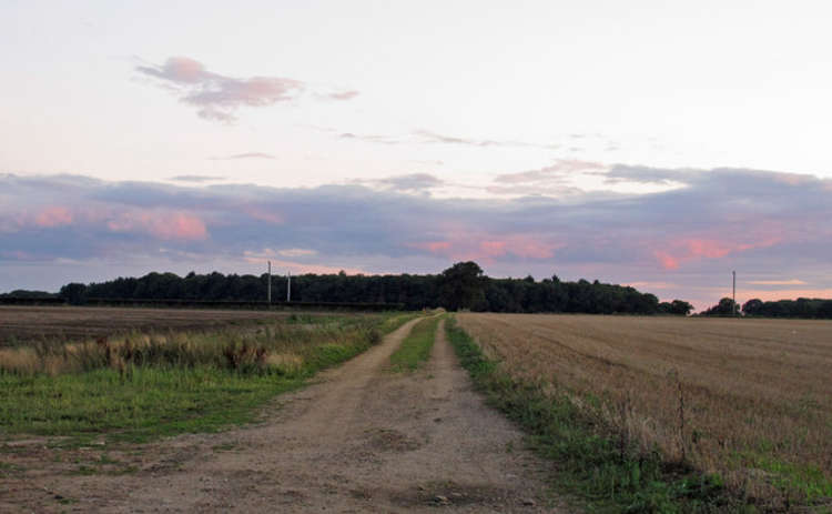 Farm track to Covert, Chelmondiston - Credit: Roger Jones - geograph.org.uk/p/2577392