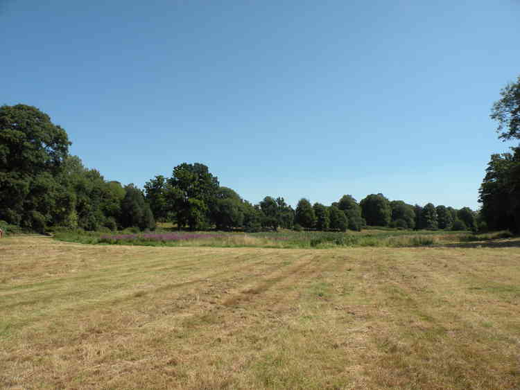 South of the Finham Brook, the perimeter of the lake, and the open sloping area of Abbey Park will be unaffected