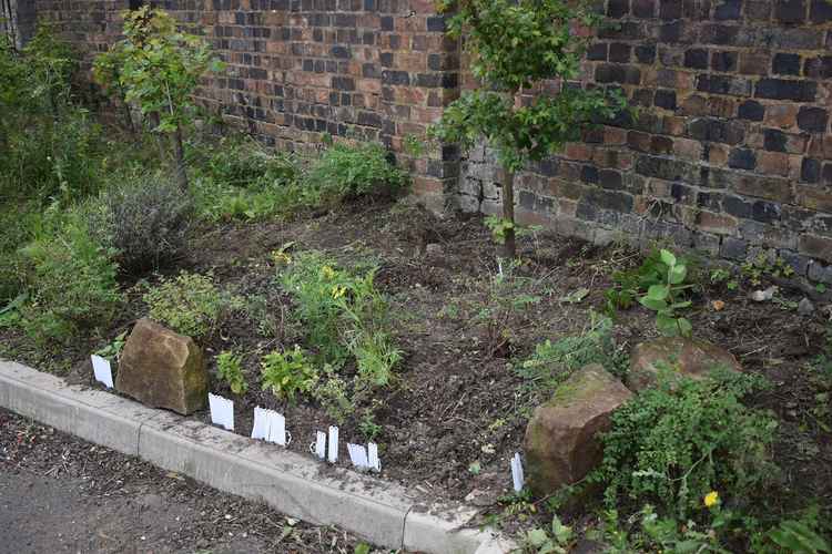 Sections four and nine of the garden have been converted into a community herb garden where the volunteers grow plants for local residents