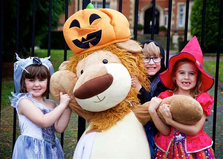 From left - Evie Field, Charlie and Rosie Fawbert with Olly The Brave (Dave Fawbert Photography)