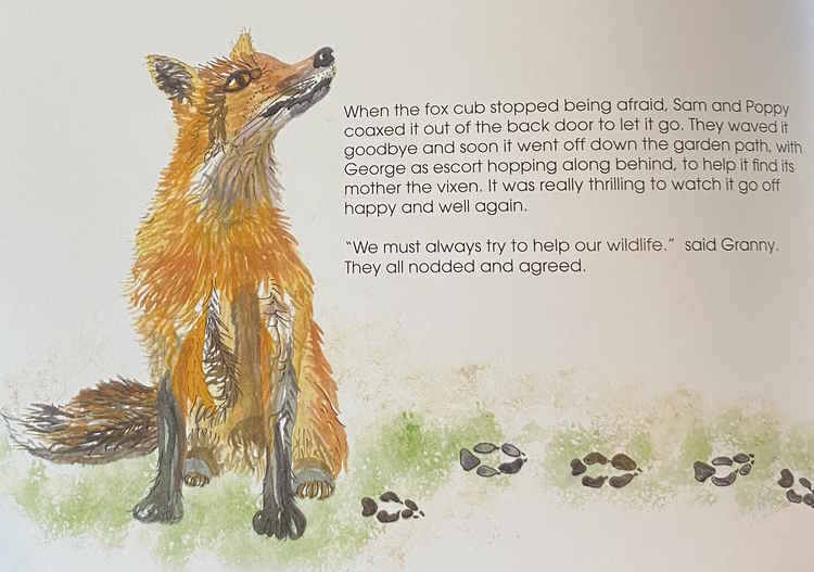 The children also nurture a fox cub with a thorn stuck in its foot