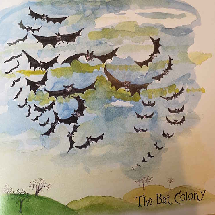 Very detailed drawings of both fruit bats and pipis strille bats are featured in book six.