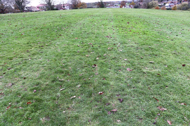 Abbey Fields a week after the work was conducted and you can see just how quickly, after a little rain, the soil settles down