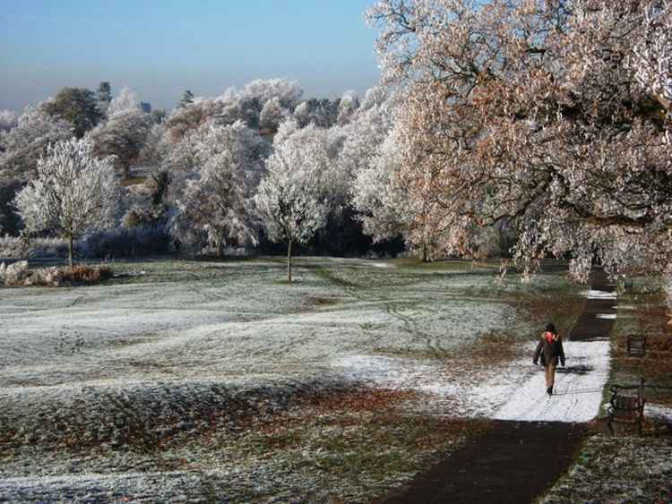 'Woman walking along frost covered path in Abbey Fields' by John Brightley