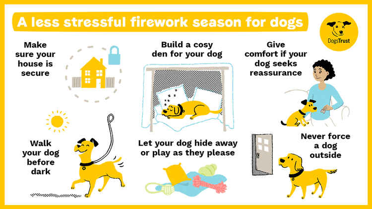 Provide a safe hiding place for your dog during fireworks