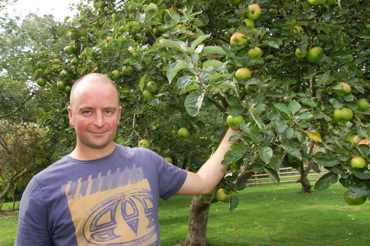 Seventeen varieties of apples are used across the Napton ciders