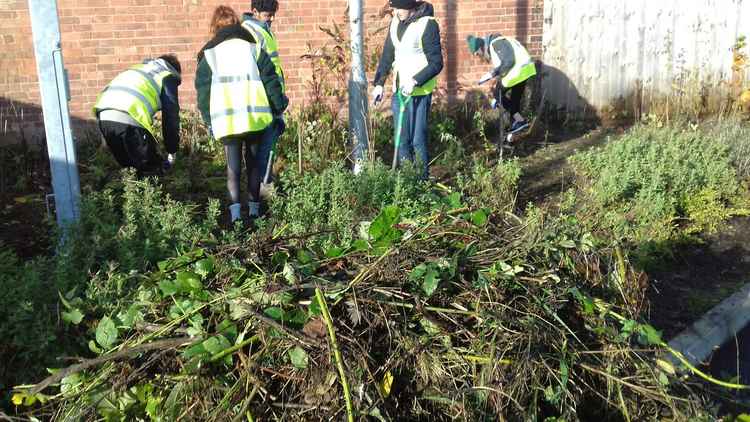 Friends of Kenilworth Station clearing in the station carpark