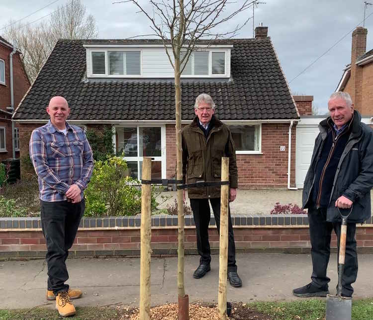 Richard Spencer (Left) Andy Metcalf (Centre) Alan Cockburn (Right) In Brookside Avenue with a replacement tree