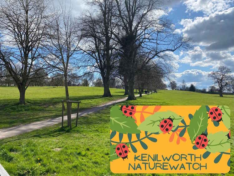 The inaugural Kenilworth Naturewatch has been announced