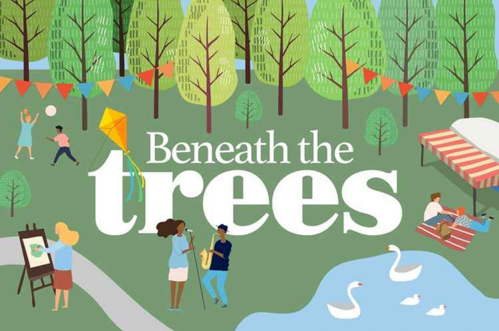 Beneath the Trees will take place at Naul's Mills Park in Coundon (Image via City of Culture trust)