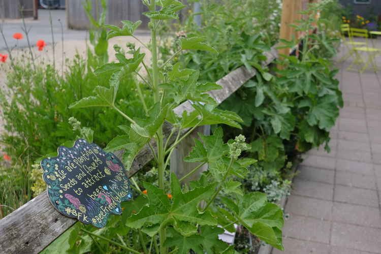 Kenilworth's Talisman Square has been transformed with new art, flowers and plants