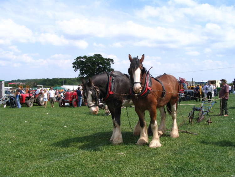 The Kenilworth Show will move to a different location on the Stoneleigh estate for 2022 (Image via E. Gammiehttps://www.geograph.org.uk/photo/454316)