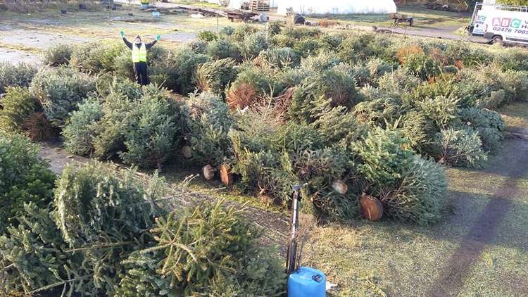 Coventry Charity Christmas Tree Collection is looking for volunteers to support this year's collection (Image supplied)