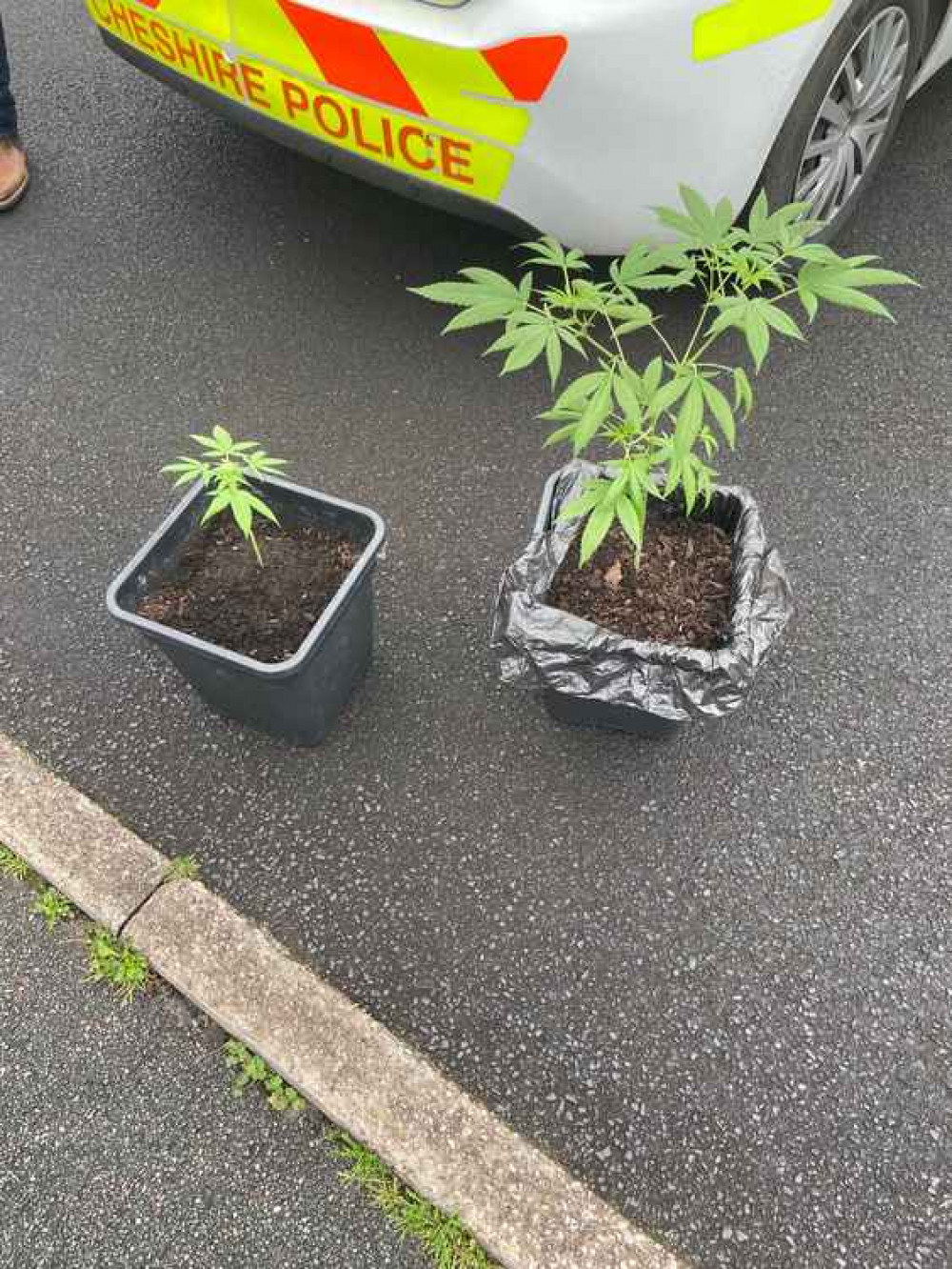 (Image by Alsager Police)