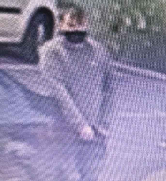 One of the two men suspected of being involved in the theft