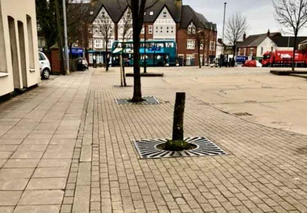 The tree was damaged in Memorial Square. Photo: Courtesy of councillor John Le Grys