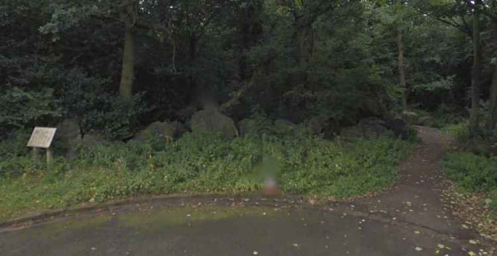 Holly Hayes Wood in Whitwick. Photo: Instantstreetview.com