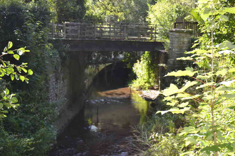 Radstock's picnic area is a hidden gem