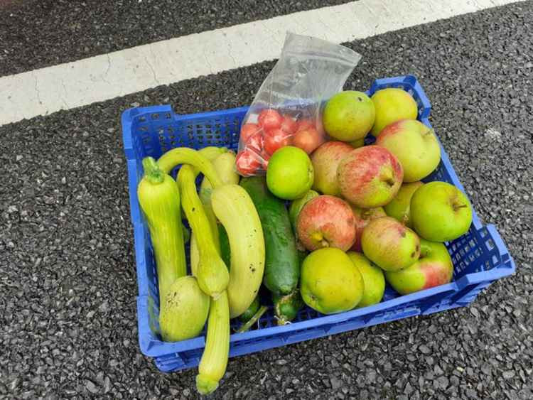 Some of the bounty which was delivered to Radstock children's centre