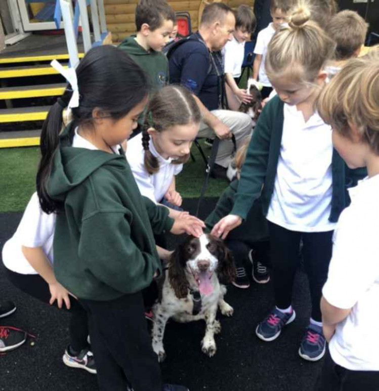 Four-legged friends from Dogs for Health visit St Julian's School in Wellow.