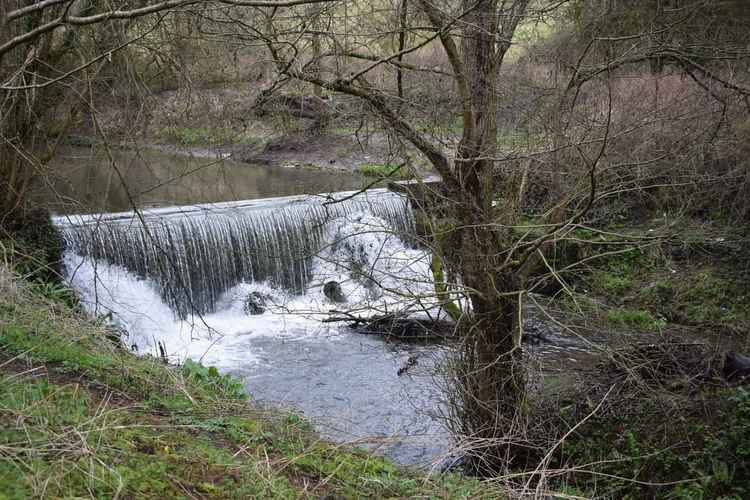 Thank you to Chris James of Radstock for this stunning photo of Snail's Brook