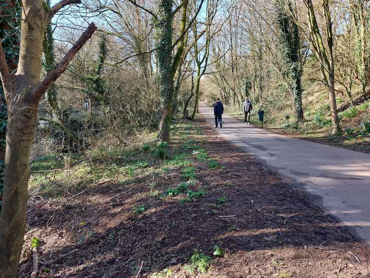 Radstock cycle path February 26