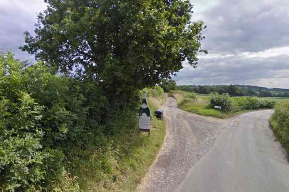 Avalon Vineyard (Photo: Google Street View)