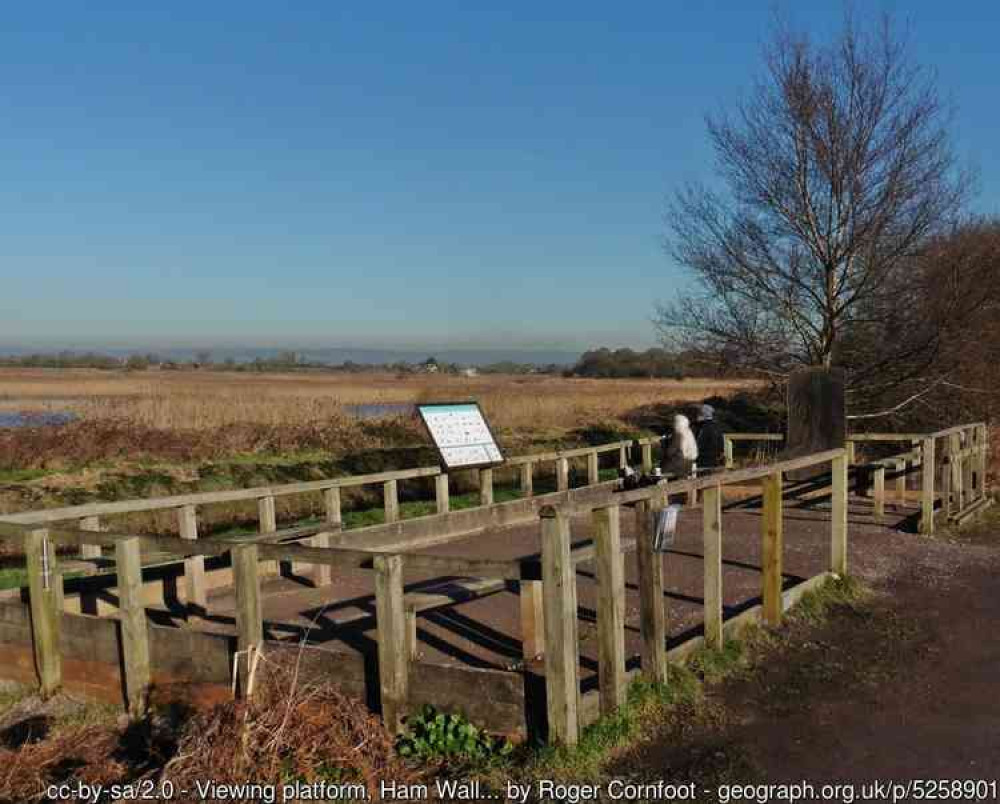 RSPB Ham Wall - see today's events