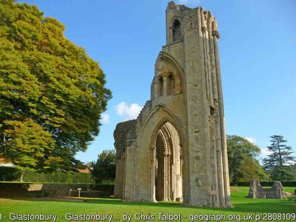 Works to trees at Glastonbury Abbey are planned