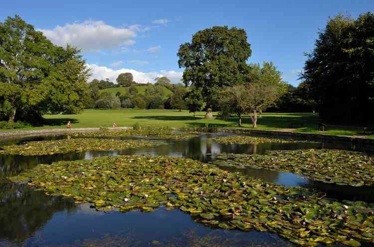 The Glastonbury Abbey grounds