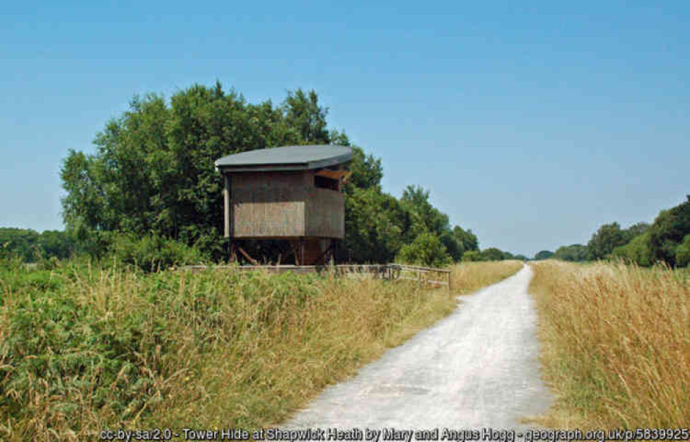 Shapwick Heath Nature Reserve