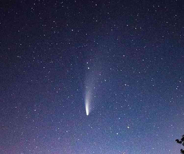 The photo of Comet Neowise taken by David Greenway