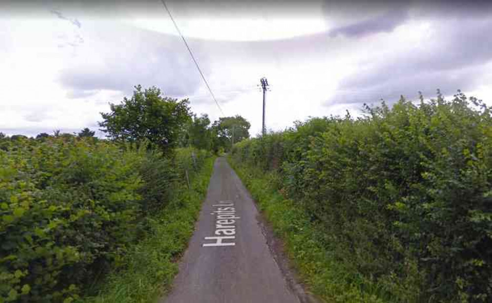 Harepits Lane in Butleigh is set to be closed next week (Photo: Google Street View)