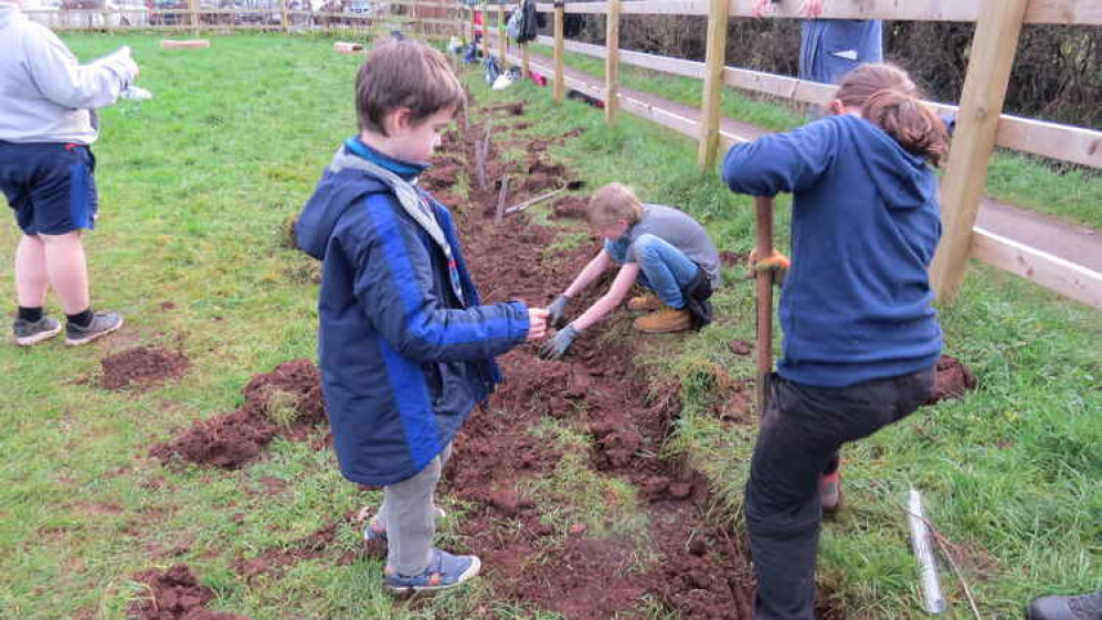 Conservation work funded by The Somerset Fund