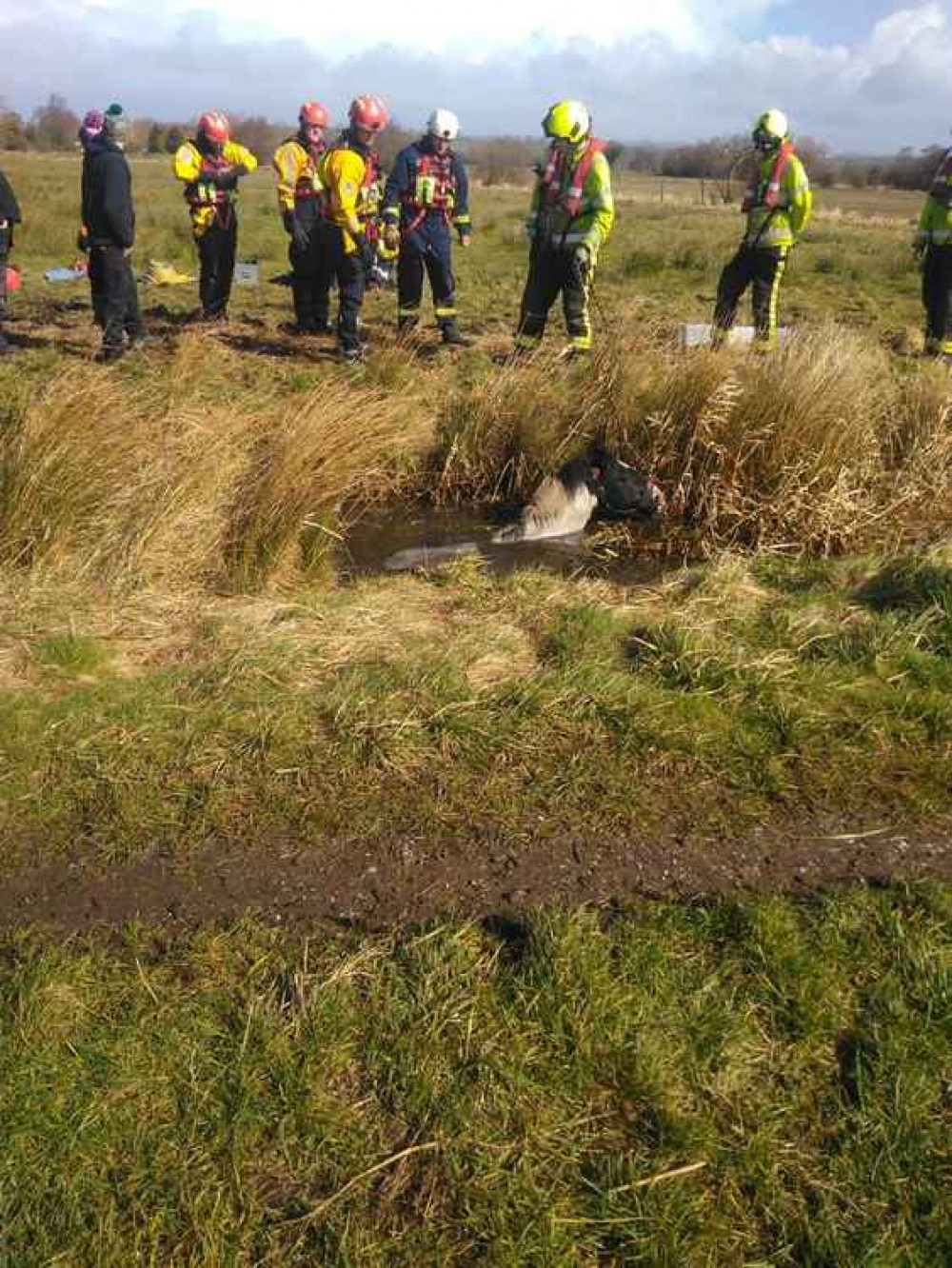The photo posted on the fire service of the crew working out how best to free the horse