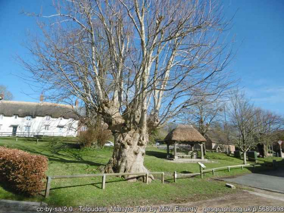 The Martyrs' tree where the Tolpuddle Martyrs gathered to form the first trade union - a protest that has led to change