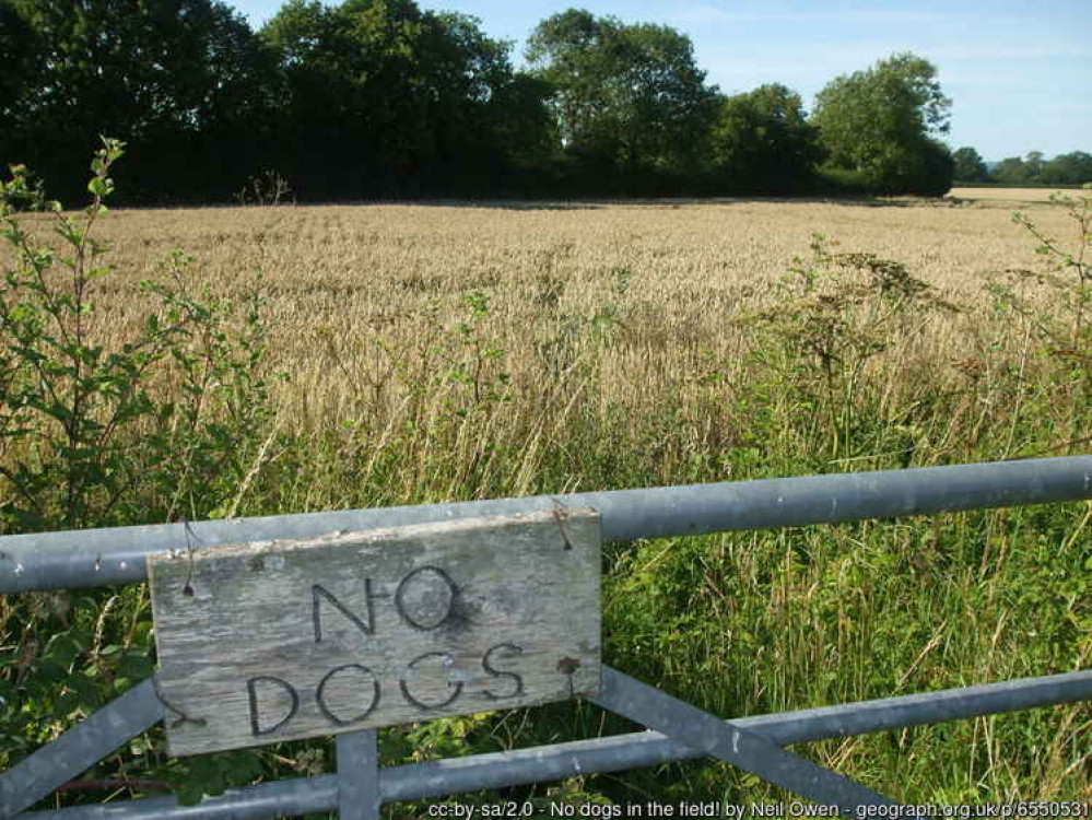 The field in Butleigh where the development was proposed