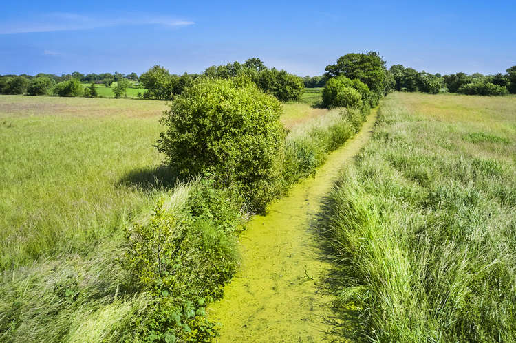 Land at Honeygar Farm