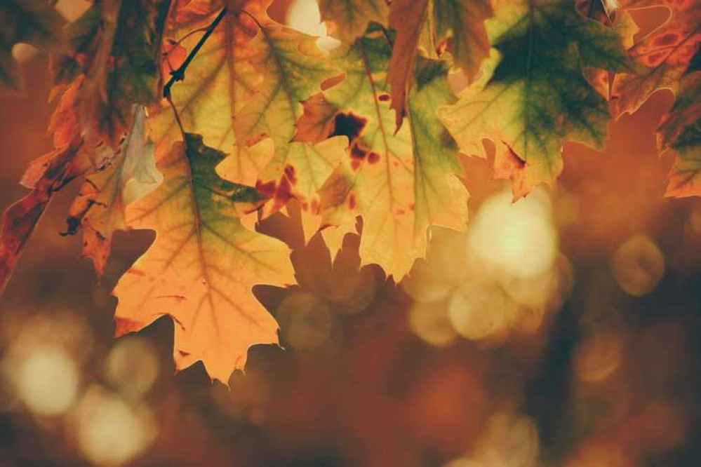 Here's to further glorious autumnal colours before the clocks change. CREDIT: Unsplash